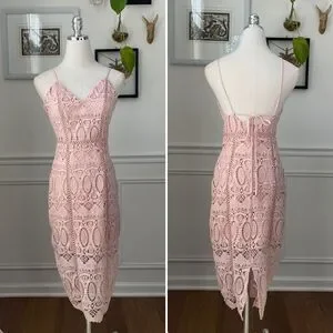 tadashi shoji scalloped lace dress Nance Double Banded Scalloped Lace Dress